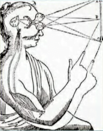 HISTORICALLY, GREAT thinkers have 
placed the mind-sometimes referred 
to as the soul or the psyche-at various 
places in the human body. Some candi-
dates across time: 
+ Aristotle: The heart. It's in the center of 
the body and is the first organ to be discerned in an embryo. 
+ Thomas Aquinas: The ventricles, or 
empty spaces, of the brain. Being pure 
spirit, it survives beyond death. 
+ Rene Descartes: The pineal gland.