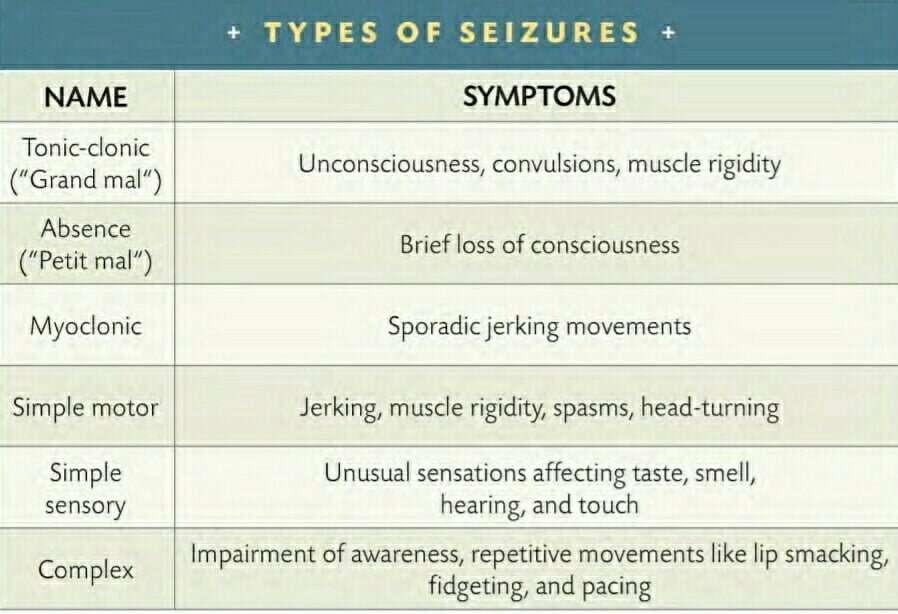 TYPES OF SEIZURES 