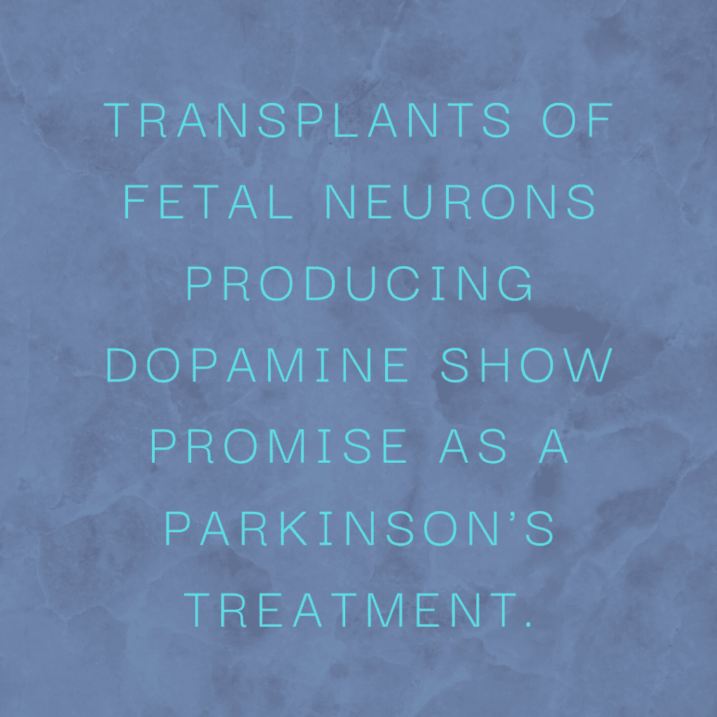 Transplants of fetal neurons producing dopamine show promise as a Parkinson's treatment.