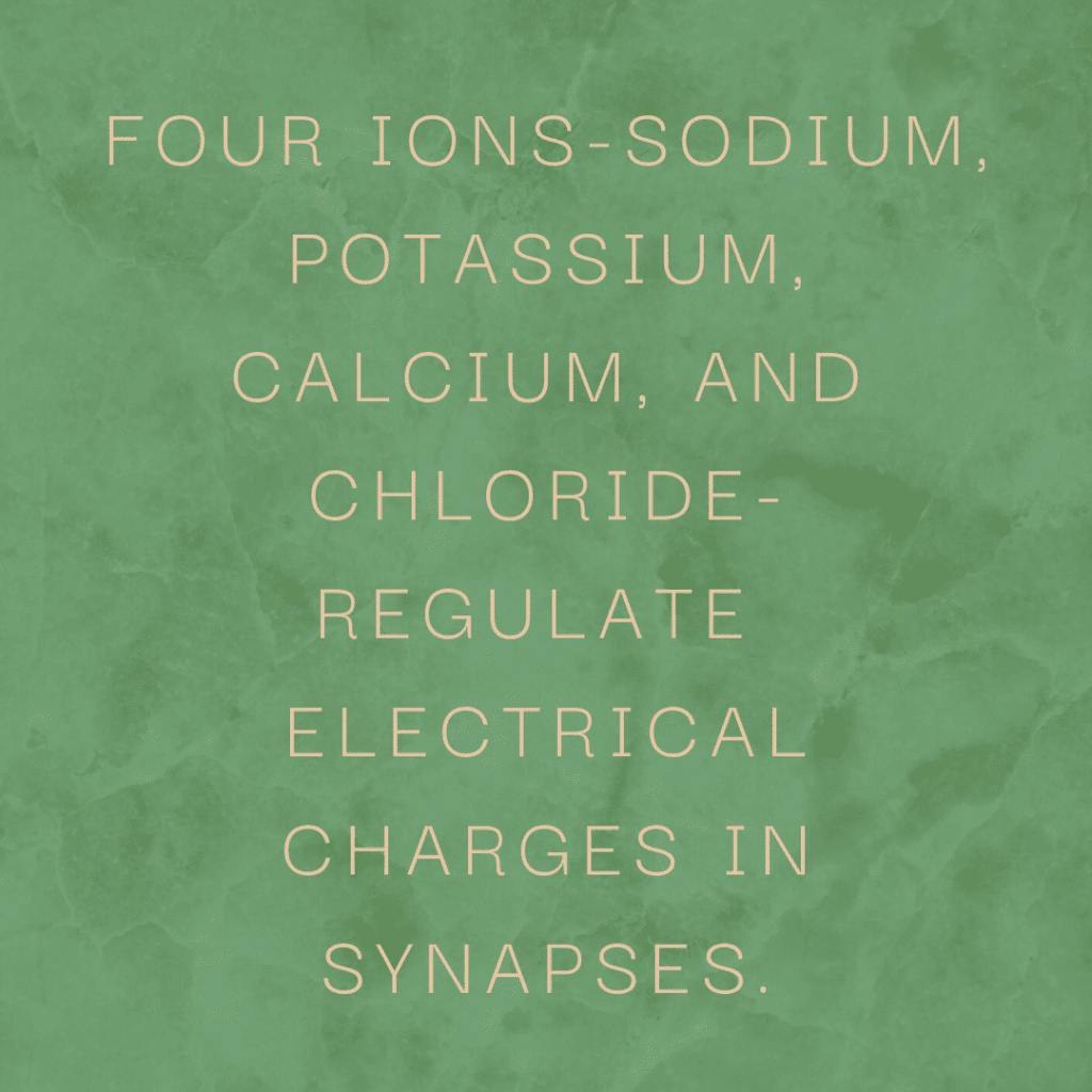 Four ions-sodium, potassium, calcium, and chloride-regulate electrical charges in synapses.