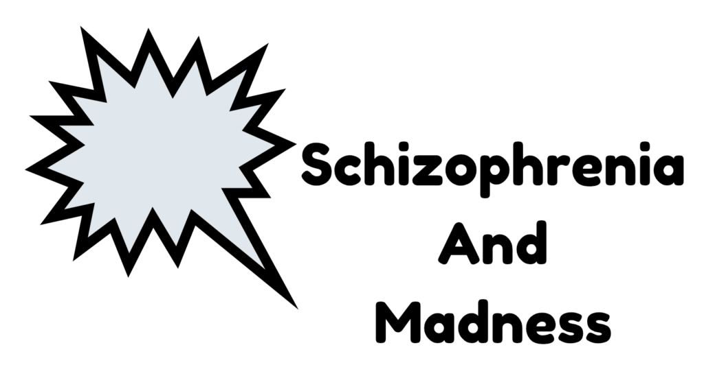 Difference Between Schizophrenia And Madness