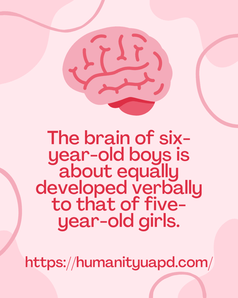 The brain of six-year-old boys is about equally developed verbally to that of five-year-old girls.