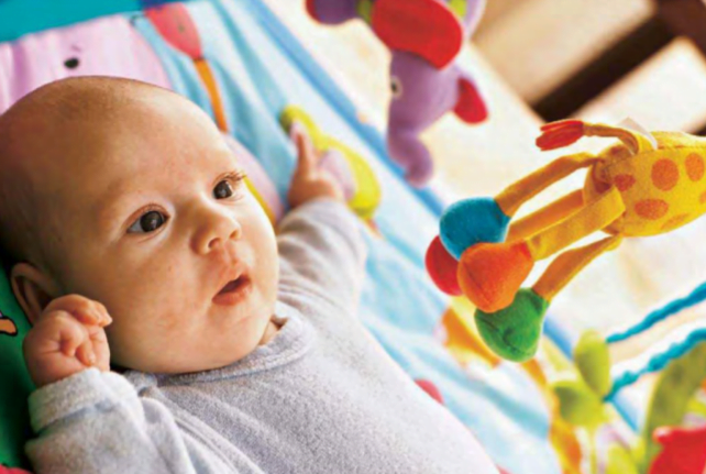 Toys and a mentally stimulating environment help a baby's brain grow complex neural connections.
