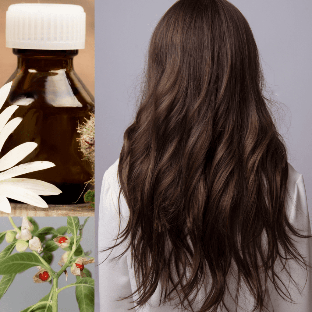 Hair Health and Antimicrobial Properties Ashwagandha