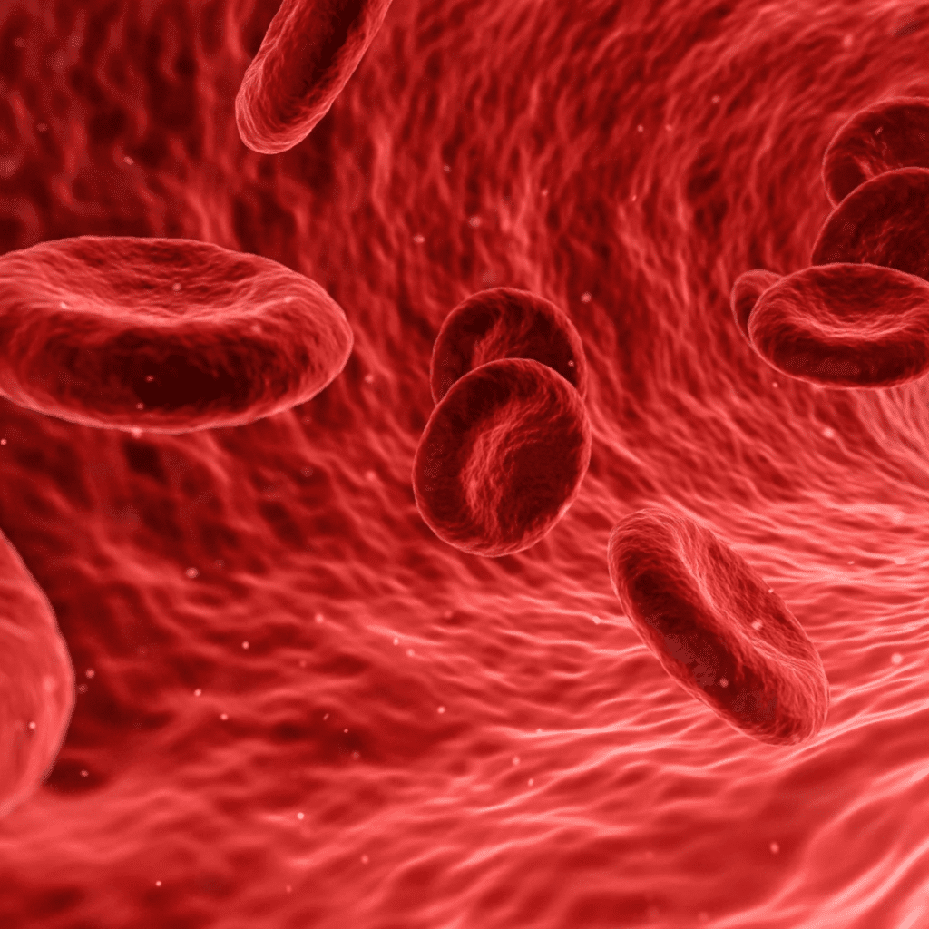The Life-Sustaining Elixir: Exploring the Fascinating World of Blood