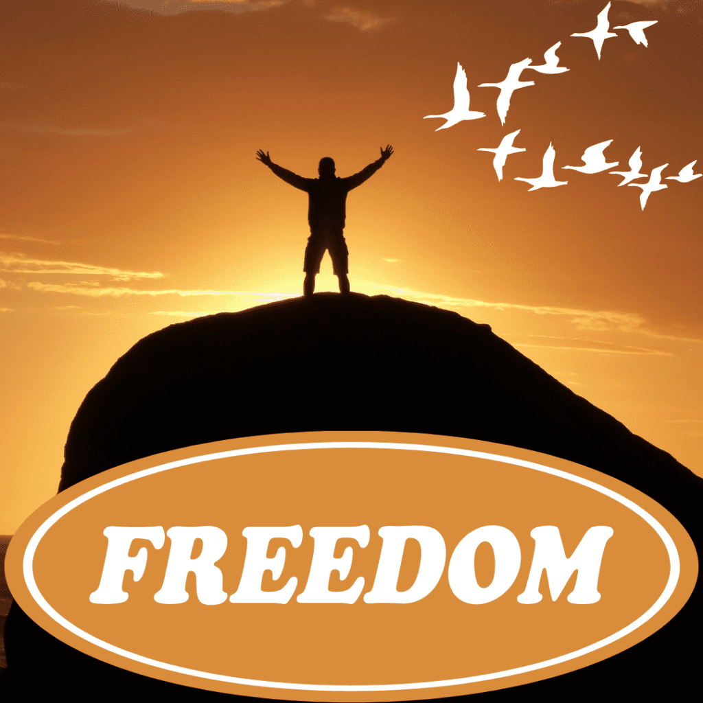 Embracing Freedom: A Journey Towards Authentic Living