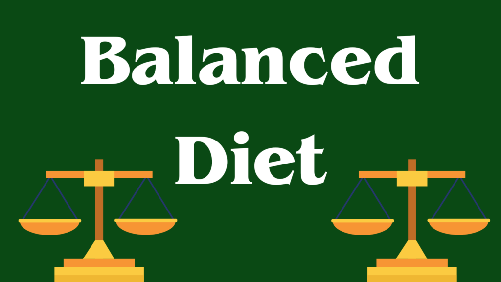 The Power of a Balanced Diet: Fueling Your Body for Optimal Health
