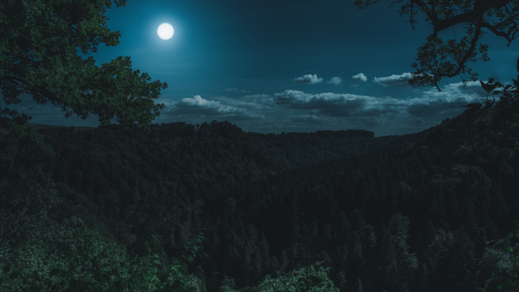 Embracing the Night: Finding Beauty and Tranquility in the Darkness