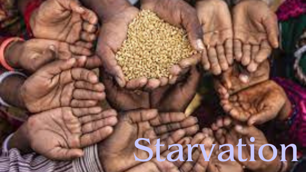 Addressing Starvation: Causes, Consequences, and Solutions for a Hunger-Free Future