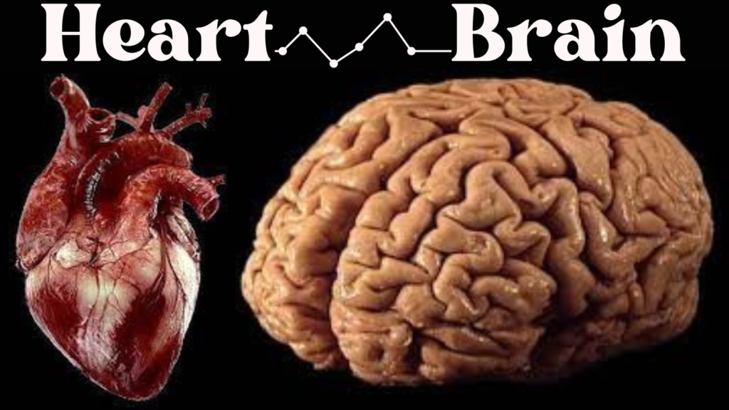 The Dynamic Duo: Heart and Brain - Unraveling Their Intricate Connection