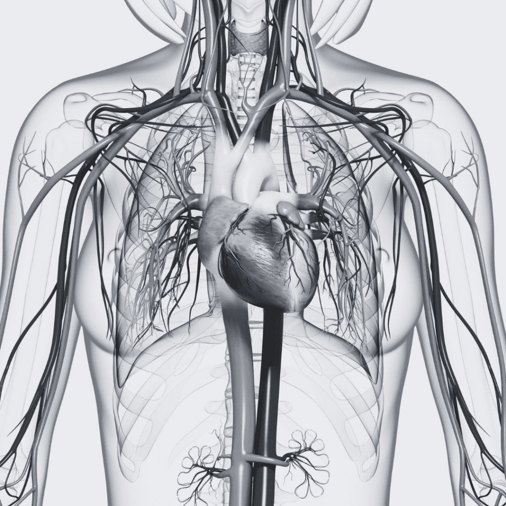 Cardiovascular Health