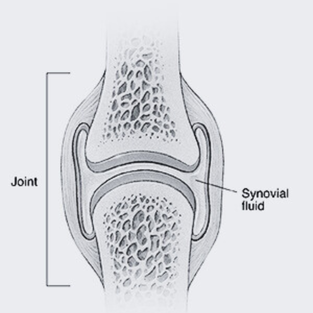 Maintaining Synovial Fluid Health: Tips for Healthy Joints