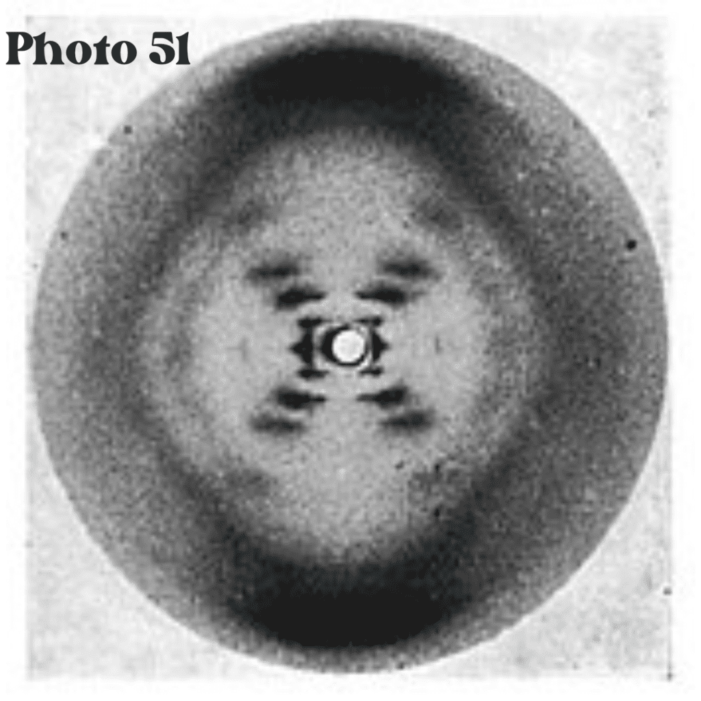 Photo 51 and the DNA Double Helix: Unveiling Life's Blueprint