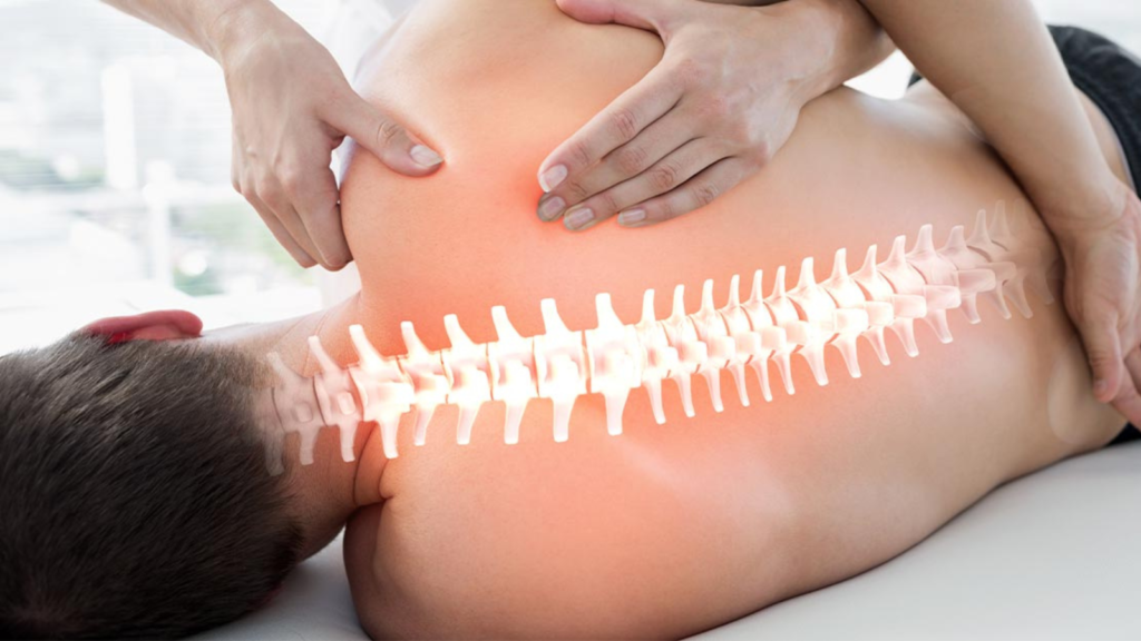 Chiropractic Care : Benefits, Myths, and Effectiveness