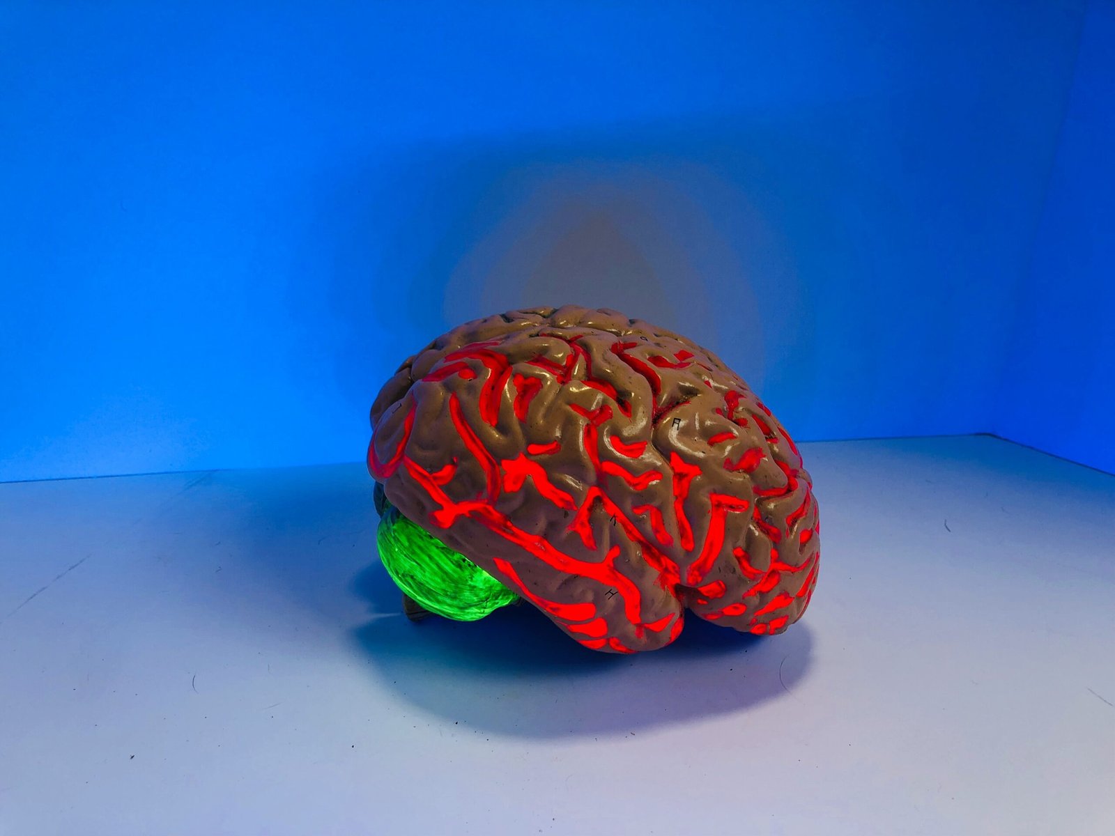 Subconscious Mind 
brain figurine