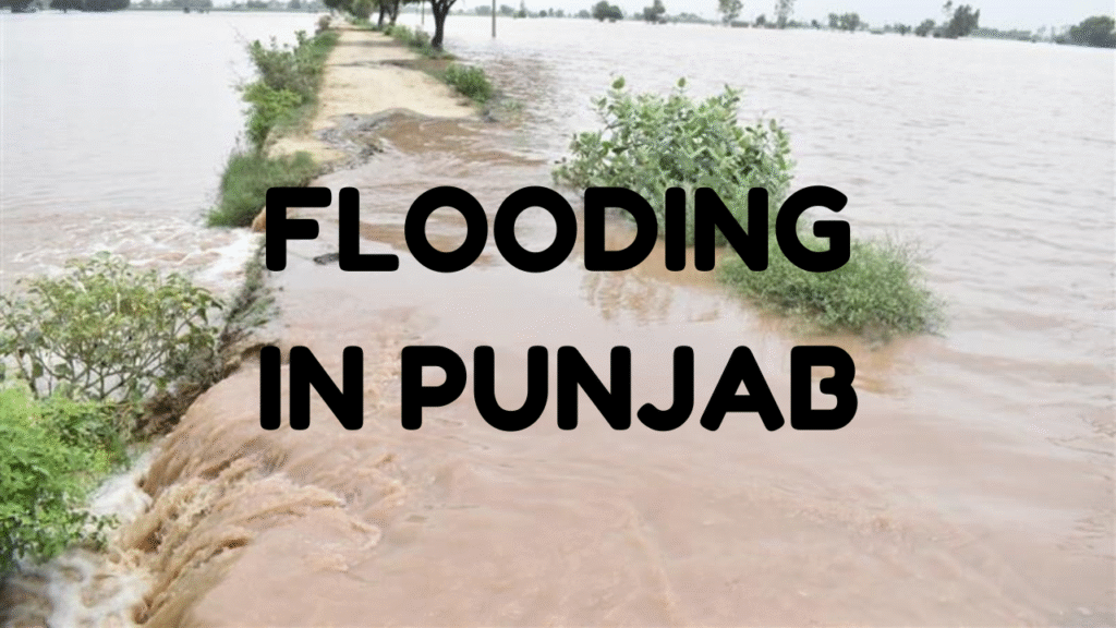 Why Flooding in Punjab: 7 Shocking Facts & Solutions 1 Flooding in Punjab